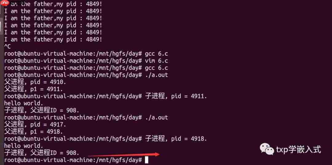 Linux系统进程编程(二)