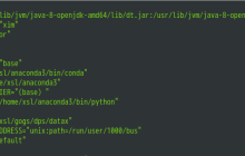 Linux配置环境变量