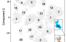 拟时序分析就是差异分析的细节剖析