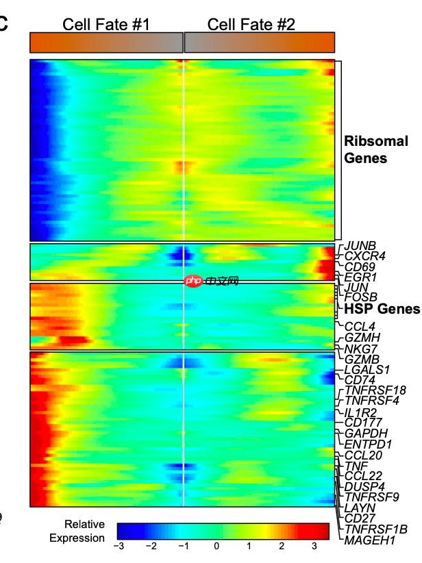 拟时序分析就是差异分析的细节剖析