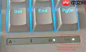 win11中Win键被锁定如何解锁