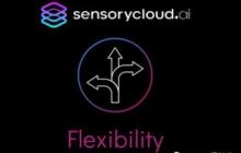 Introducing SensoryCloud.ai:  Flexibility