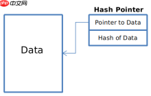 Hash Pointers and Data Structures