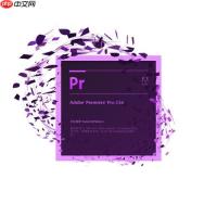 Premiere如何加预设？如何使用Premiere应用预设效果详细教程