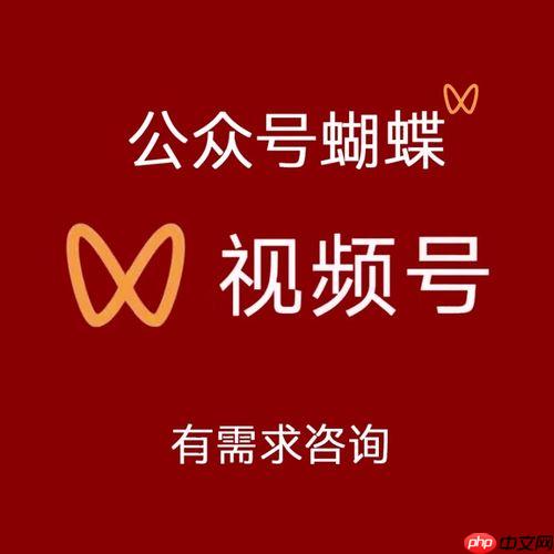 不懂技术也能做!蝴蝶号入口搭建与数据增长实战指南