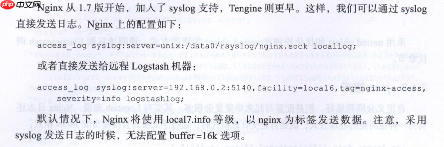 Logstash 实例
