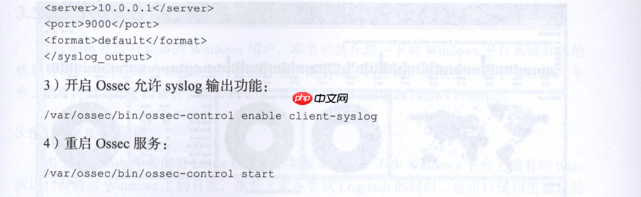 Logstash 实例