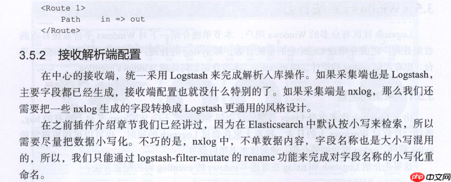 Logstash 实例