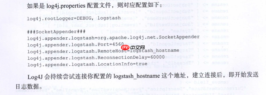 Logstash 实例