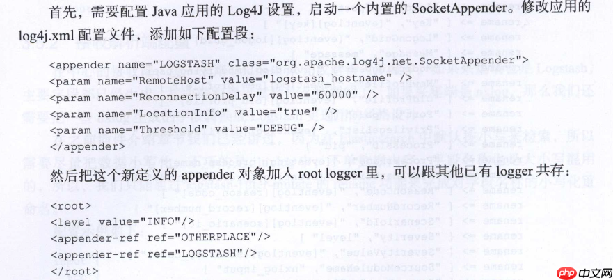 Logstash 实例