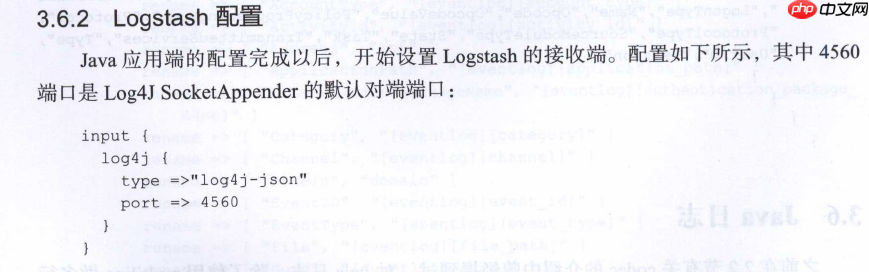 Logstash 实例