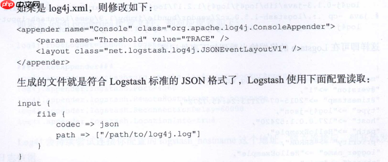 Logstash 实例
