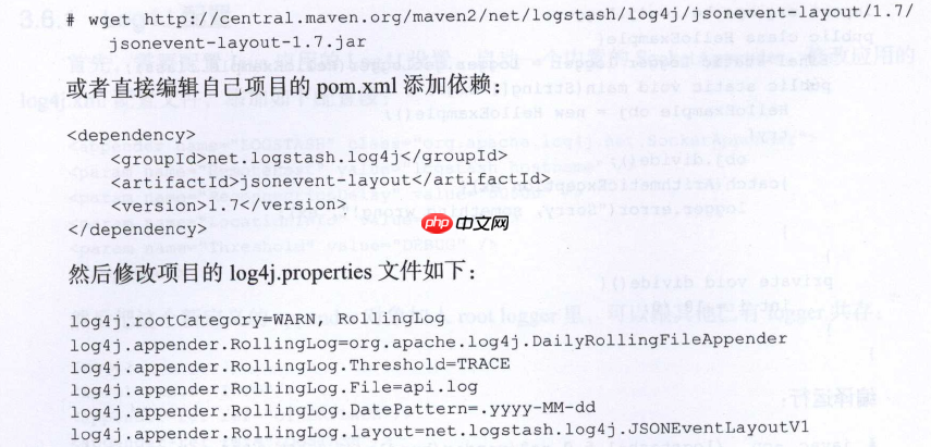 Logstash 实例