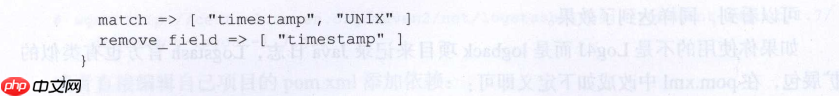 Logstash 实例