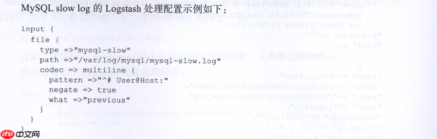 Logstash 实例