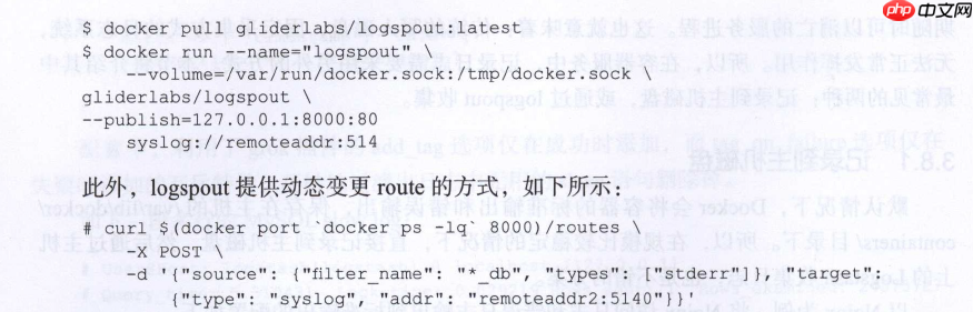 Logstash 实例
