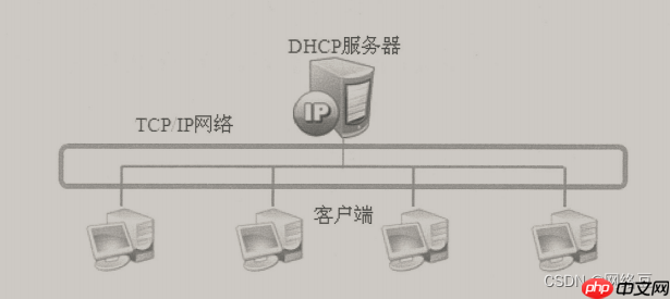Windows server——部署DHCP服务