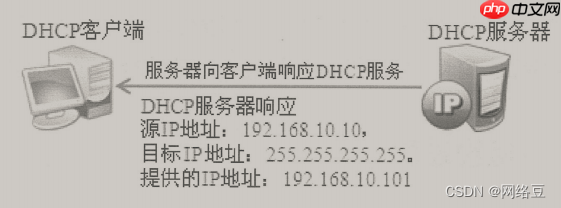 Windows server——部署DHCP服务