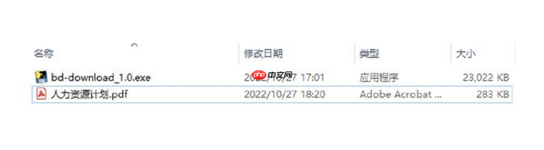 软件分享 | 第四十七期 文库bd-download(PC)