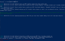 Web漏洞扫描神器：xray