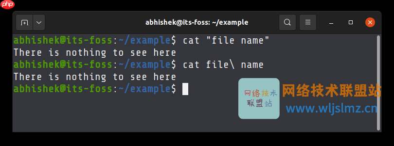 如何在 Linux 中使用空格处理文件名？