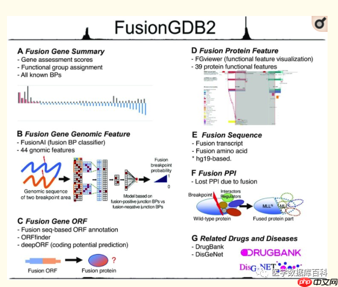 FusionGDB 2.0｜融合基因综合性注释数据库