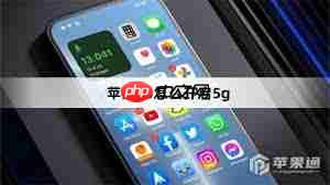 ios15怎么开启5G网络