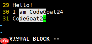 不会vim？看这篇就够了！