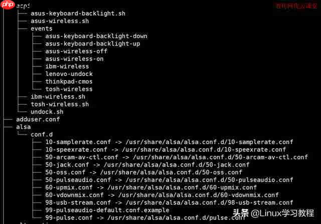 【每天一个 Linux 命令】tree命令