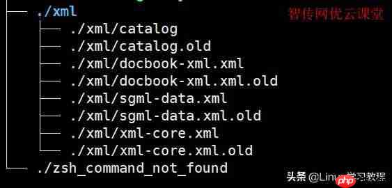 【每天一个 Linux 命令】tree命令
