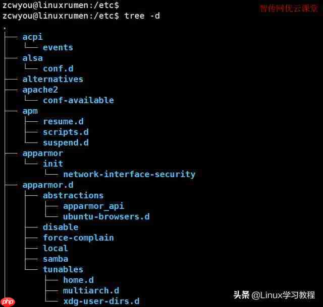 【每天一个 Linux 命令】tree命令