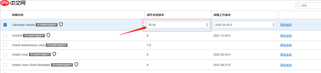 甲骨文ARM DD重装系统并开启BBR加速详细教程