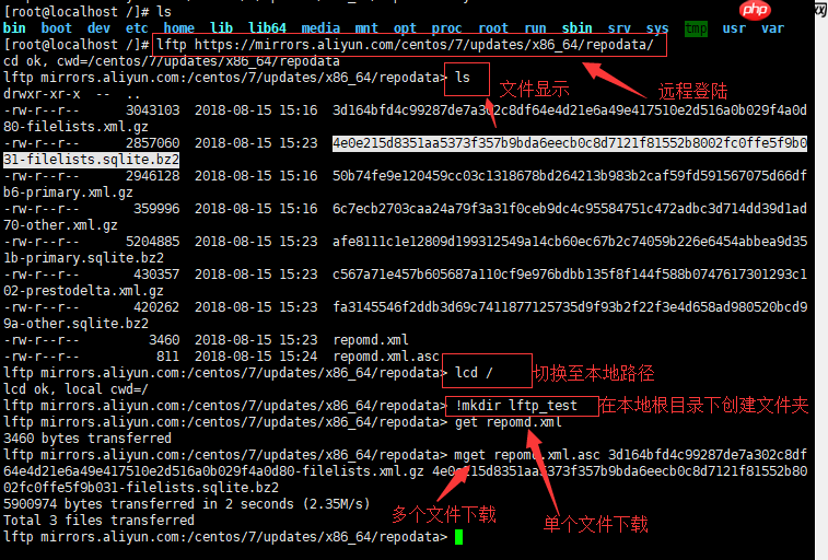 Linux网络下载管理工具(lftp, ftp, lftpget, wget)「建议收藏」