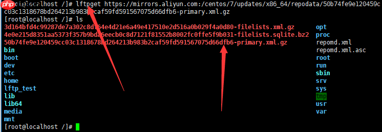 Linux网络下载管理工具(lftp, ftp, lftpget, wget)「建议收藏」