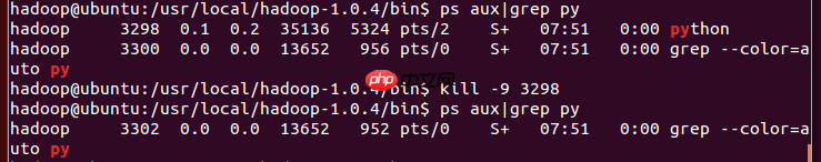 linux常用命令50个_docmd常用命令详解
