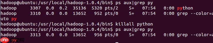 linux常用命令50个_docmd常用命令详解