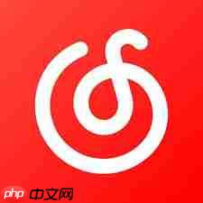 网易云音乐网页版怎么进入