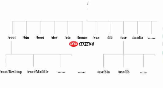 Linux之目录结构和远程登录-小浪学习网