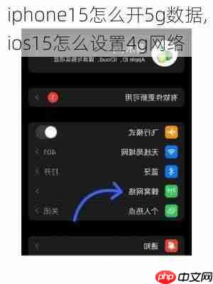 ios15如何开启5G网络
