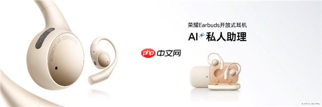 随身耳畔智能体荣耀Earbuds开放式耳机国补到手价594.15元起