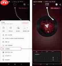 网易云音乐倍速播放功能在哪里设置