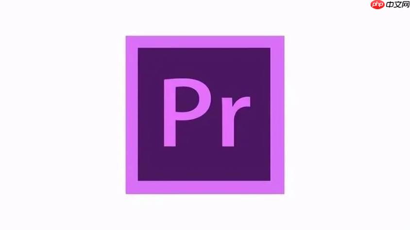 Premiere如何加粒子？如何使用Premiere添加粒子特效详细教程-小浪学习网
