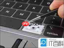 电脑键盘错乱如何恢复正常