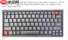 电脑键盘错乱如何恢复正常