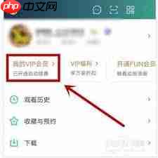 爱奇艺如何取消自动续费