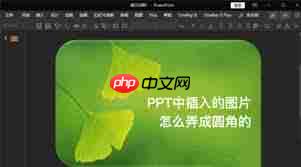 PPT图片边缘如何设置圆角