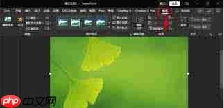 PPT图片边缘如何设置圆角