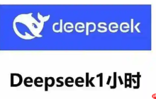 利用 Deepseek 满血版与 Quillbot Premium，实现精准改写​