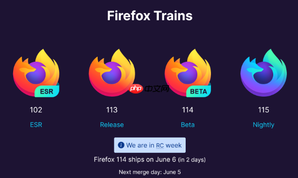 火狐Firefox浏览器网页截图插件推荐及安装指南