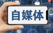 运营蝴蝶号必懂的五大策略,帮你迅速提升粉丝活跃度